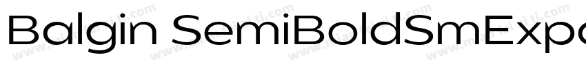 Balgin SemiBoldSmExpanded Regular字体转换